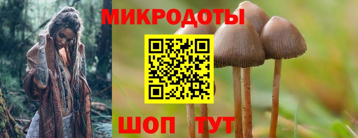 Псилоцибиновые грибы мухоморы Реутов